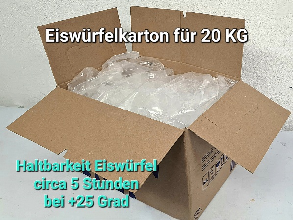Eiswrfel-Karton
