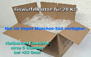 Eiswrfel- Karton